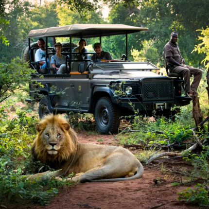 Safari Sudafricano
