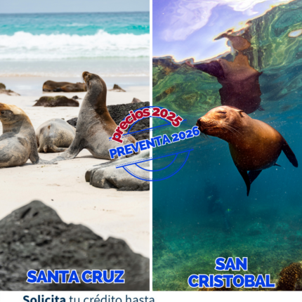 Galapagos Santa Cruz + San Cristóbal