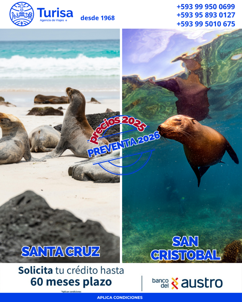Santa cruz